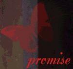   pro0omise