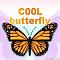   C00Lbutterfly
